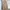 Luxury Casual Maxi Dress Wanita Gold
