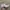 SALOMON XT6 FULL WHITE - 43 photo 1