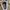 SALOMON XT6 FULL WHITE - 43 photo 7