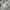Jeep Casual Jumper Pria silver gray photo 7