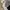 Gorpcore Sportswear Puffer jacket Pria white black photo 2