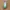 Skintific - Mugwort Acne Clay Stick 40gr photo 1