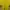 Sportswear Jersey Pria yellow photo 2