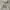 HOODIE 1989 STANDARD photo 4