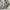 HOODIE 1989 STANDARD photo 5