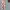 Grunge Avant Garde Casual pants Pria red cream photo 4