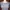 PrettyLittleThing Casual Crop top Wanita gray photo 3