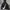 Jaket Nike Taped Big Swoosh Half-Zip photo 3