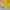 Jaket parasut yellow photo 3