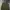 Jaket Bomber Lined Levi’s Olive Green Thermore 