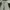 COLORBOX Vintage Casual Midi dress Wanita multicolor photo 1