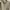 Kemeja burberry long sleeved shirt photo 6
