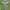 Vintage Stussy cargo pants multi pocket photo 1