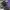 AIR FORCE 1 LOW X AMBUSH BLACK , AIR FORCE 1 AMBUSH BLACK ,  photo 7