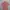 EIGER Outdoor Shirt Coral Pink – Size M