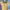 Something Borrowed Summer Long Dress Sabrina Yellow