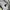 Jacket Ultralight Windbreaker Anak Limite Dou Dou Abstrak