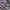 Salomon XT-6 Goretex  photo 6