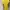 Korea Summer Dress Yellow Kuning