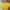 Korea Summer Dress Yellow Kuning photo 3