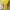 Korea Summer Dress Yellow Kuning photo 5