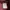 Champion Streetwear Casual Hoody Pria burgundy photo 7