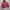 Champion Streetwear Casual Hoody Pria burgundy photo 3