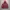 Champion Streetwear Casual Hoody Pria burgundy photo 2