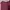 midi dress brukat maroon photo 5