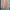 outer pink photo 1