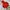 Jacket winter puffer goose down anak allo lugh orange photo 7
