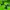 UnderArmour Originals Lime Script Logo Hoodies Pullover photo 5