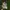 Adidas Yeezy boost 350 original  photo 7