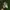 Adidas Yeezy boost 350 original  photo 1