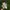Adidas Yeezy boost 350 original  photo 10