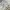 Jacket winter puffer revesible bolak balik anak milibam photo 8