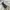 Jacket winter puffer revesible bolak balik anak milibam photo 10