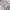 Jacket winter puffer revesible bolak balik anak milibam photo 5