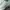 Asics Novablast 4 Pale Mint Running photo 2