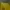 Culottes Mustard photo 2