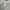 THOM BROWNE 4 BAR LONG photo 2