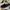 Caterpillar Footwear Urban Tracks Sport Sneaker