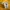 Adidas Streetwear Y2K Track jacket Pria yellow photo 4