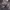 Longsleeve Jersey Adidas Three Stripes photo 5