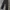 Carhartt Carpenter Double knee pants photo 2
