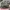 Vintage Hat Pria Army photo 3