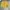 Polham Parachute Shortpants Yellow Mustard  photo 2