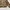 A Bathing Ape Casual Bomber jacket Pria multicolor photo 3