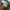 Nike Court Vision Af1 Full White Made In Vietnam 2021 photo 7