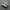 adidas samba photo 1